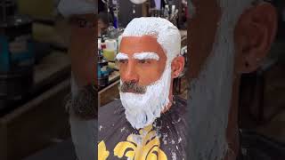 Mens Hair amp Beard Color Transformstion Tutorial [upl. by Hamo]