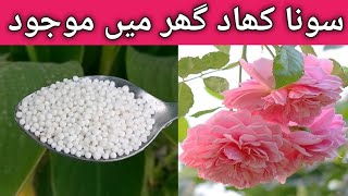 How to make organic fertilizer at home [upl. by Zaneta]