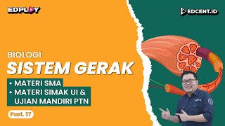 SISTEM GERAK  Materi Biologi SMA Ujian Mandiri PTN dan Perkuliahan  Part 17 [upl. by Winchell]