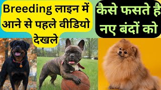 🤯😱 Dog breed लाइन में आने वालों के साथ धोखा 🥺🫂 gsd dog puppy stopdogbreedbans [upl. by Marx]