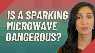 Is a sparking microwave dangerous [upl. by Enaed27]