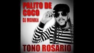 Palito De Coco  Tono Rosario  Merengue Intro Remix Outro  172BPM  Serato Traktor Virtual DJ [upl. by Arvid]