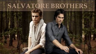 Stefan and Damons best brotherly moments [upl. by Uht]