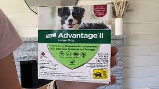 Advantage II Large Dog Vet Recommended Flea Treatment amp Prevention Review [upl. by Doownelg]