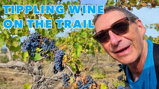 Walking to Rome on the Via Francigena 19 Tippling Wine on the Trail [upl. by Rollin791]