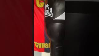 Lonsdale Uppercut Punch Bag Review [upl. by Araminta]