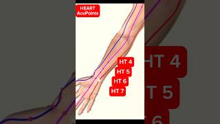 The Heart Meridian Acupuncture Points acupuncture [upl. by Melgar554]