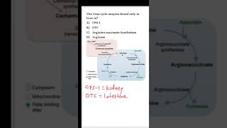 NEETPG Biochemistry MCQ  Urea cycle [upl. by Stepha]