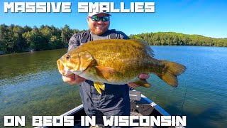 Smallmouth Bass Fishing the Spawn in Northern WisconsinMorning Day 2 Minocqua 2024 [upl. by Virginie]