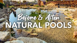 Natural Pools amp Swim Ponds in California  No Chlorine or Chemicals  Aquascape System [upl. by Nomled582]