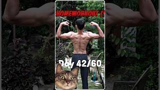 Day 4260 Ultimate Home Back Workout for Gains  Weighted Pullups amp Barbell Row [upl. by Maite]