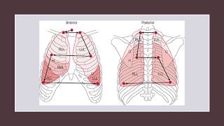 NUR 2030 Jarvis Ch 18 Thorax and Lungs recorded 2018 [upl. by Enaled206]