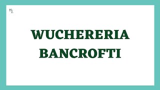 Wuchereria bancrofti Lifecycle  Lymphatic filariasis  Elephaniasis  Filarial Worm or Nematode [upl. by Nuyh]