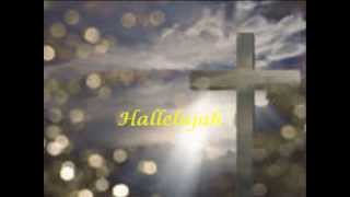 Hallelujah by Bon Jovi cover video with lyrics [upl. by Acire]