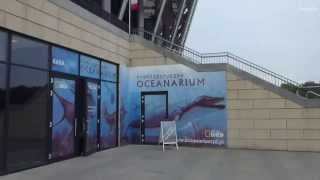 Prehistoryczne Oceanarium wystawa Stadion Narodowy Warszawa dojazd [upl. by Bekelja410]