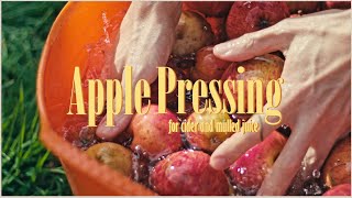 Apple Pressing  ASMR  Country Living [upl. by Raab]