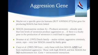 Aggression  Genetic Explanation [upl. by Tama602]