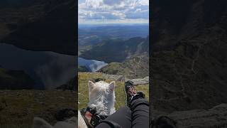 Snowdon via Watkins Path westie northwales [upl. by Kabob]