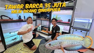 NEKAT KE SINGAPURA TAWAR BARCA 35 JUTA PEMILIKNYA KAGET [upl. by Yerffeg572]