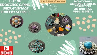 LOT OF BROOCHES amp PINS VINTAGE JEWELRY SCORE UNBOXING HAUL VIDEO 53 [upl. by Hen]