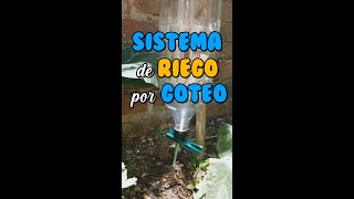 Como hacer un SISTEMA de RIEGO por GOTEO FÁCIL y RECICLABLE SHORTS [upl. by Ennagrom]