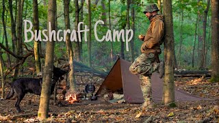 Solo Bushcraft Camping With My Dog  Canvas Tarp Shelter ASMR [upl. by Trakas577]