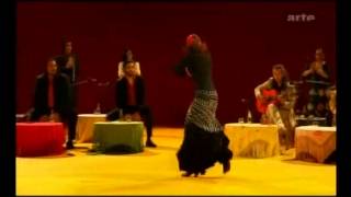 VERTIGES  Rosana Romero  Kelian Jimenez  du flamenco a la transe [upl. by Gereld]