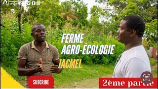 Ferme agroécologique lavanneau jacmel [upl. by Amle]