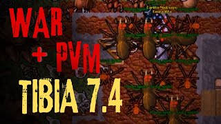 Tibia 74  Miracle  OLD TIBIA WAR AND PVP [upl. by Domel896]