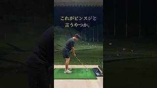 こんな綺麗なピンスジある？ shorts golf ゴルフ [upl. by Ekal]