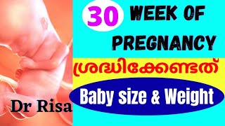 30 Weeks Of Pregnancy Malayalam  Pregnancy Week by Week [upl. by Elmira]