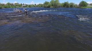 Fly Fishing the Henrys Fork [upl. by Jarus]