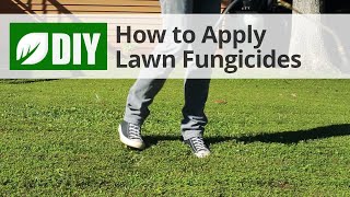 Fungicides 101 Why Apply A Fungicide On Corn [upl. by Enowtna]