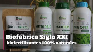 Biofábrica Siglo XXI Biofertilizantes 100 naturales [upl. by Dorwin840]