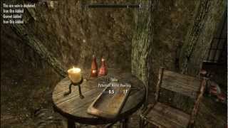 Skyrim Complete Playthrough Part 13  Bandit Camps [upl. by Aletsirc]