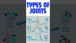 Types of joint in Anatomy and physiology for medical and nursing students [upl. by Eek]