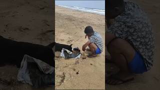 A man Feeding street dog in beach [upl. by Nottage]