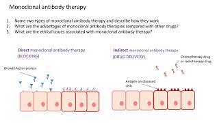 Monoclonal antibodies in healthcare revision Monoclonal antibody therapy [upl. by Ticknor208]