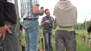 Journée de démonstration sur les couverts végétaux innovants en viticulture Projet Casdar [upl. by Narol]