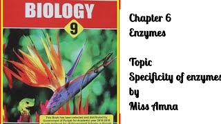 Specificity of Enzymes  class 9  Chapter 6 enzymes Punjab text book [upl. by Erreid]