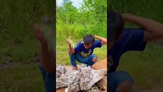 Man puts turtle under hole and parrotlove [upl. by Abihsat]