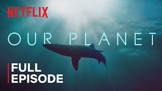 Our Planet  Coastal Seas  FULL EPISODE  Netflix [upl. by Macknair]