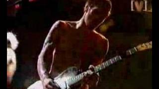 Red Hot Chili Peppers  Easily Live [upl. by Ettezel]