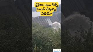 శ్రీశైలం Dam గేట్స్ ఓపెన్ చేస్తున్న వీడియో srisailam dam gates open srisailam nallamalla travel [upl. by Aizan]