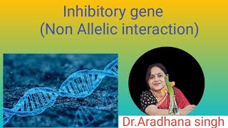 Inhibitory gene Non Allelic interaction [upl. by Ahsienar]