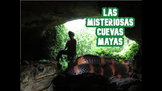 Las MISTERIOSAS CUEVAS MAYAS de OXKINTOK Maya Documental [upl. by Aroda19]