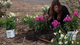 Planting New Varieties of MonardaPhlox in the RAIN 💦  Amaranth Seeds 🌿💚🌸 [upl. by Mathia]