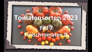 Tomatensorten 2023 Teil 7  Fleischtomaten II [upl. by Westbrook]