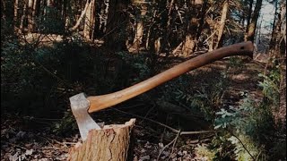 Gransfors Bruk Scandinavian forest axe  How’s does the edge hold up in Eastern Hemlock [upl. by Weinman]