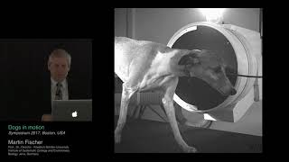 DOGS IN MOTION Prof Dr Martin S Fischer KYON Symposium 2017 [upl. by Eicarg]